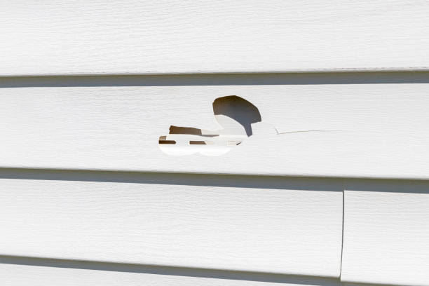 How To Choose The Right Materials for Your Siding Installation in 'Redland, AL