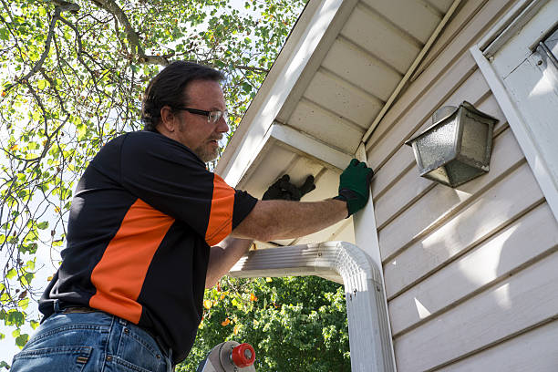 Best Stone Veneer Siding  in Redland, AL